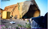 عقیلِ 8 ساله‌ خرج والدین را می‌دهد +عکس