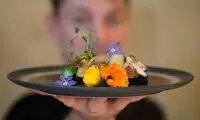 حشرات در منوی مواد غذایی اتحادیه اروپا