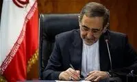 کنایه‌های صریح ولایتی به امانوئل مکرون