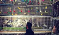 اینجا ایران است (66)