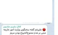 ادعای جدید کانال عماریون علیه همسر ظریف