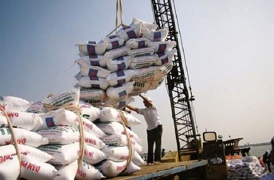ترخیص ۴۹۷هزار تن برنج وارداتی از گمرکات