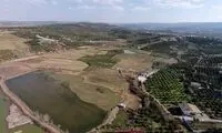 برنج یا پرتقال، مساله این است! +عکس