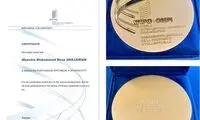 وایپو، مدال خلاقیت را به مرحوم شجریان اعطا کرد