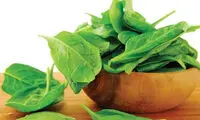 این غذاها را هر روز بخورید