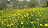 عکس: گشت و گذار بهاری در دریاچه گَهَر