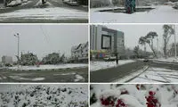 تصاویری از بارش برف بهاری در بجنورد