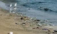 تصاویری از وضعیت آشفته ساحل خزر در متل‌قو
