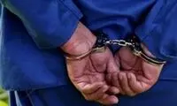 شرور مسلح جنوب‌ شرق کشور دستگیر شد