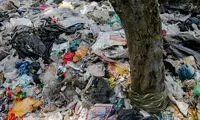 جنگل کیاشهر در محاصره زباله‌ها