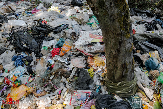 جنگل کیاشهر در محاصره زباله‌ها
