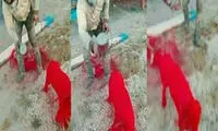 سلفی با زجر دادن یک سگ! +عکس