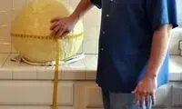 عجیب‌ترین کلکسیون‌دارهای دنیا +عکس