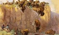شکار جالب بوفالوها در آمریکای شمالی ماقبل تاریخ