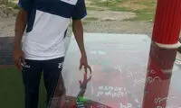 شیمبا بر سر مزار هادی نوروزی +عکس