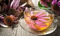 گیاهی که از ابتلا به کووید پیشگیری می‌کند