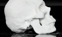 ساخت جمجمه با کوکائین +عکس
