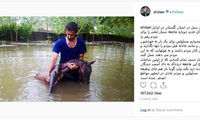 دایی: امیدوارم مسئولین به خودشان بیایند