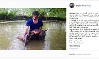 دایی: امیدوارم مسئولین به خودشان بیایند