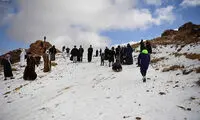 برف بازی سعودی ها