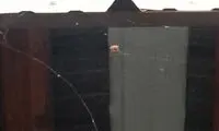 عنکبوت مهندس! +عکس