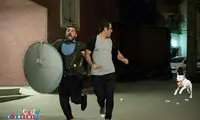 آخرین خبرها از « لونه زنبور»