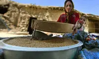 اینجا ایران است (101)