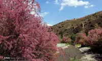 عکس: طبیعت زیبای روستای شصت دره