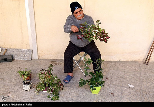 جنب و جوش خانه‌تکان‌ها؛ صدای پای بهار می‌آید