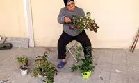 جنب و جوش خانه‌تکان‌ها؛ صدای پای بهار می‌آید