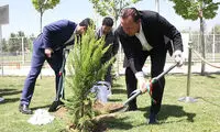 درختکاری ویلموتس در اولین حضور در ایران