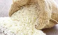طرح خودکفایی در بحث برنج با تغییر ذائقه ایرانیان