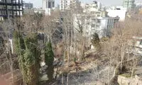 قطع درختان تهران از کجا آب می خورد؟