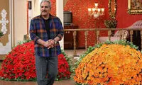 جمعه «دورهمی» نداریم