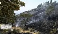 مراتع سوهانک تهران در آتش سوخت