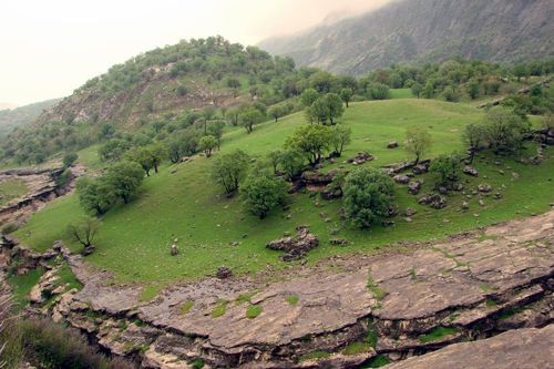 پیشنهاد ایران گردی: ایلام و همه ناشناخته هایش