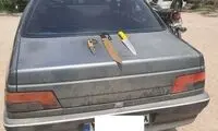 اقدام ترسناک چند دهه هشتادی در بوستان چیتگر 