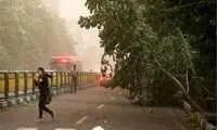 هشدار به تهرانی‌ها؛ فردا مراقب باشید