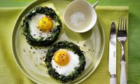 طرز تهیه نرگسی اسفناج؛ یک غذای سالم و مقوی