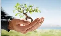 شاهکار اعصاب‌خردکُن شهرداری در روز درختکاری