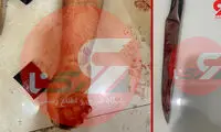 عکسی از صحنه قتل فجیع برادر در میرداماد تهران