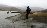 این ماهی غول پیکر مردم اهواز را شگفت‌زده کرد