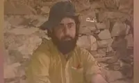 عامل حمله به کامیون‌های تجاری ایران کشته شد 