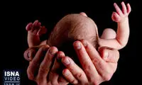 جزییات کشف یک نوزاد رها شده در فارس