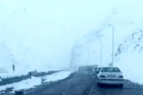 ویدئویی حال‌خوب‌کُن از بارش برف در جاده چالوس