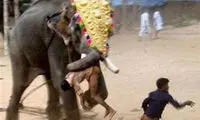 لحظه هولناک حمله فیل هندی به مردم