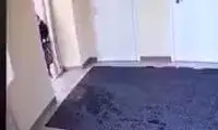 حمله وحشیانه یک زن به شعبه بانک با بنزین و آتش