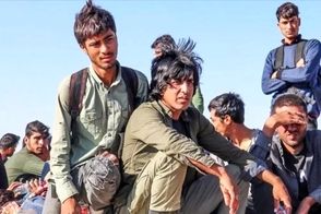 نماینده قم: حتی یک جاسوس افغانستانی نداشتیم