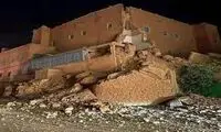 حرکت طنز این مرد در بحبوحه زلزله همه را خنداند