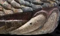 مار غول‌پیکری که پس از زلزله از زمین بیرون آمد